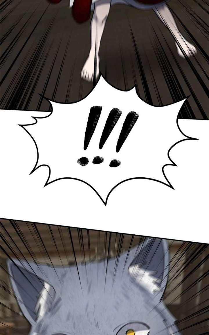 ch 50 88