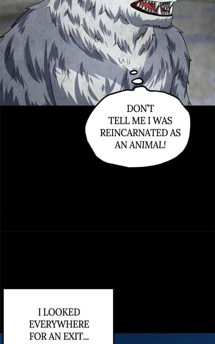 ch 51 10