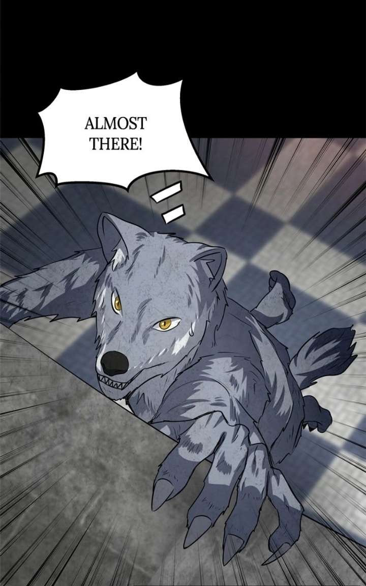 ch 51 12