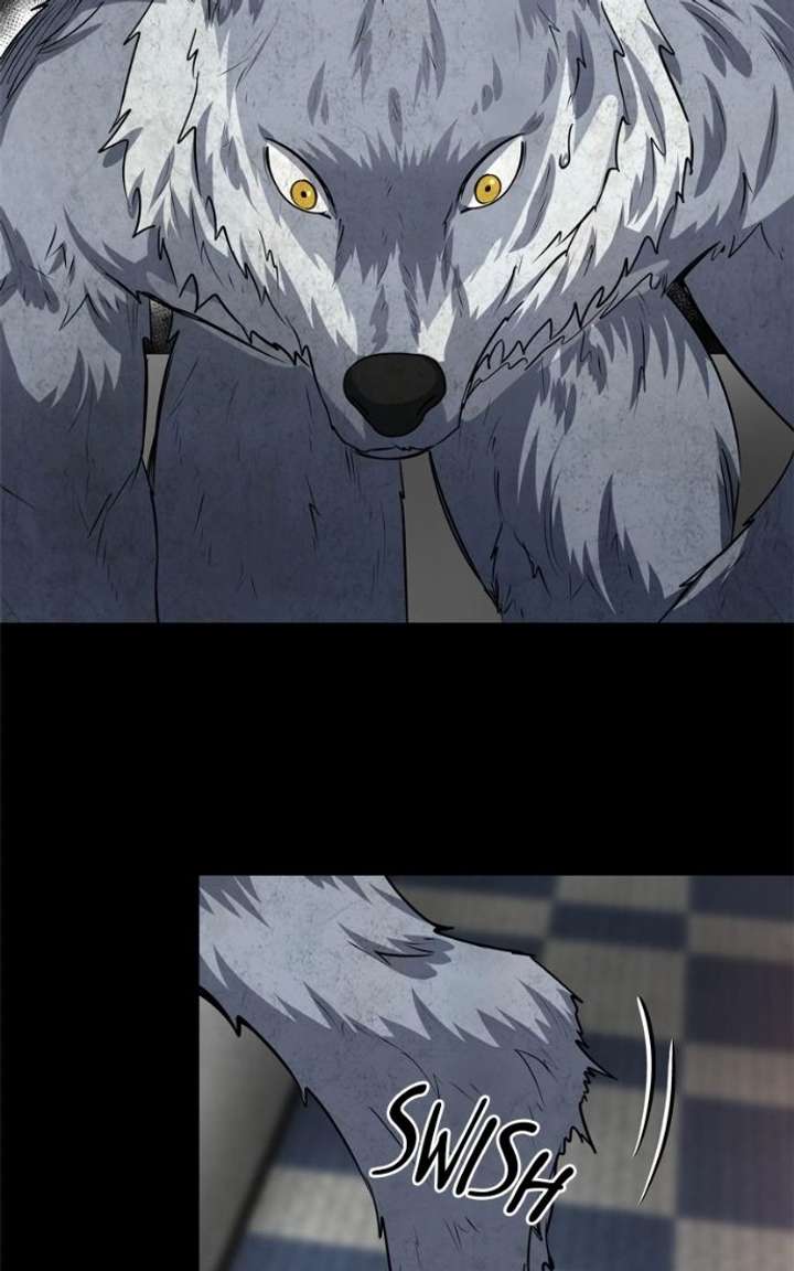 ch 51 15