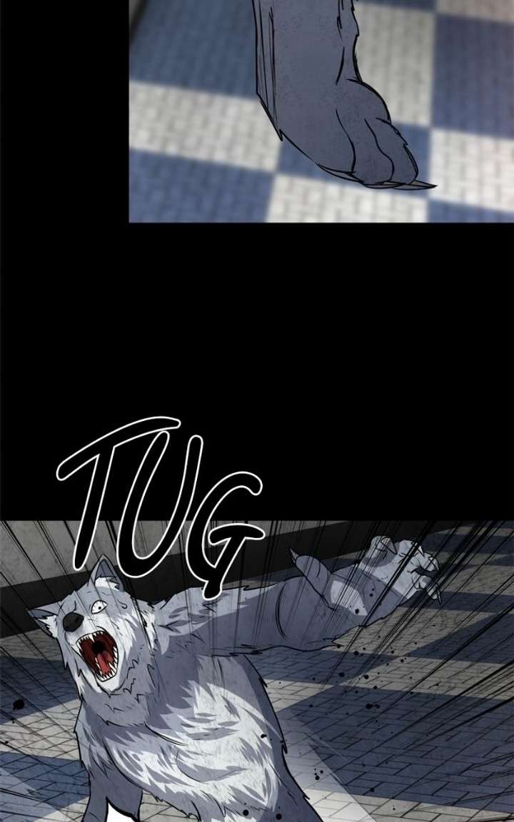 ch 51 16