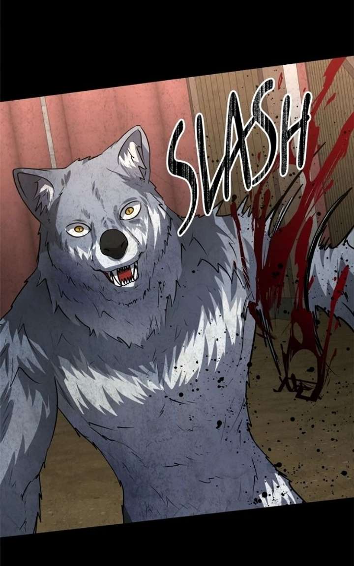 ch 51 29