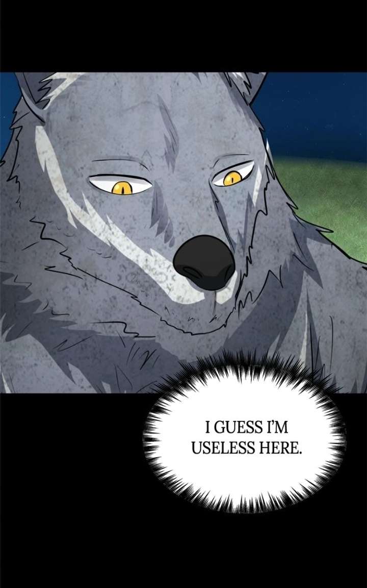 ch 51 37
