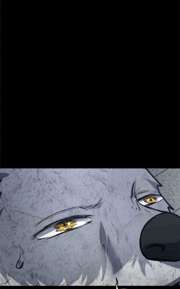 ch 51 4
