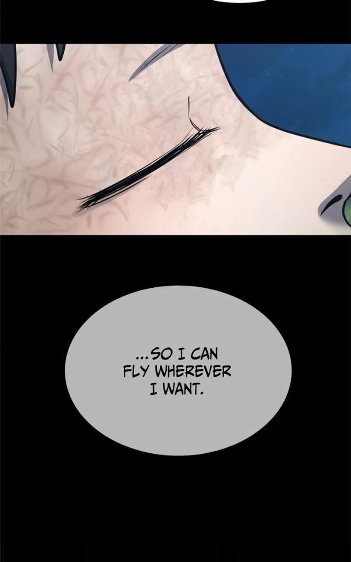 ch 51 48