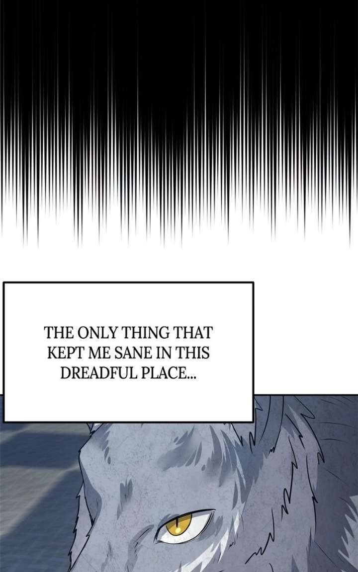 ch 51 49