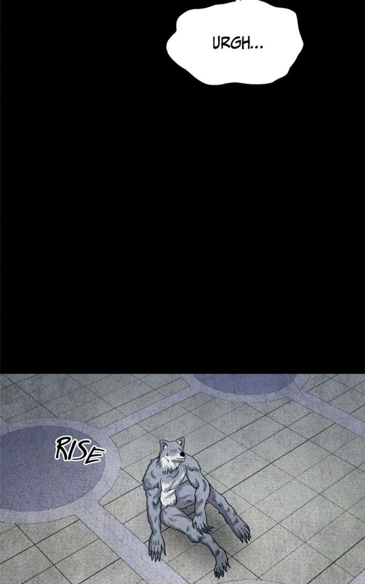 ch 51 5