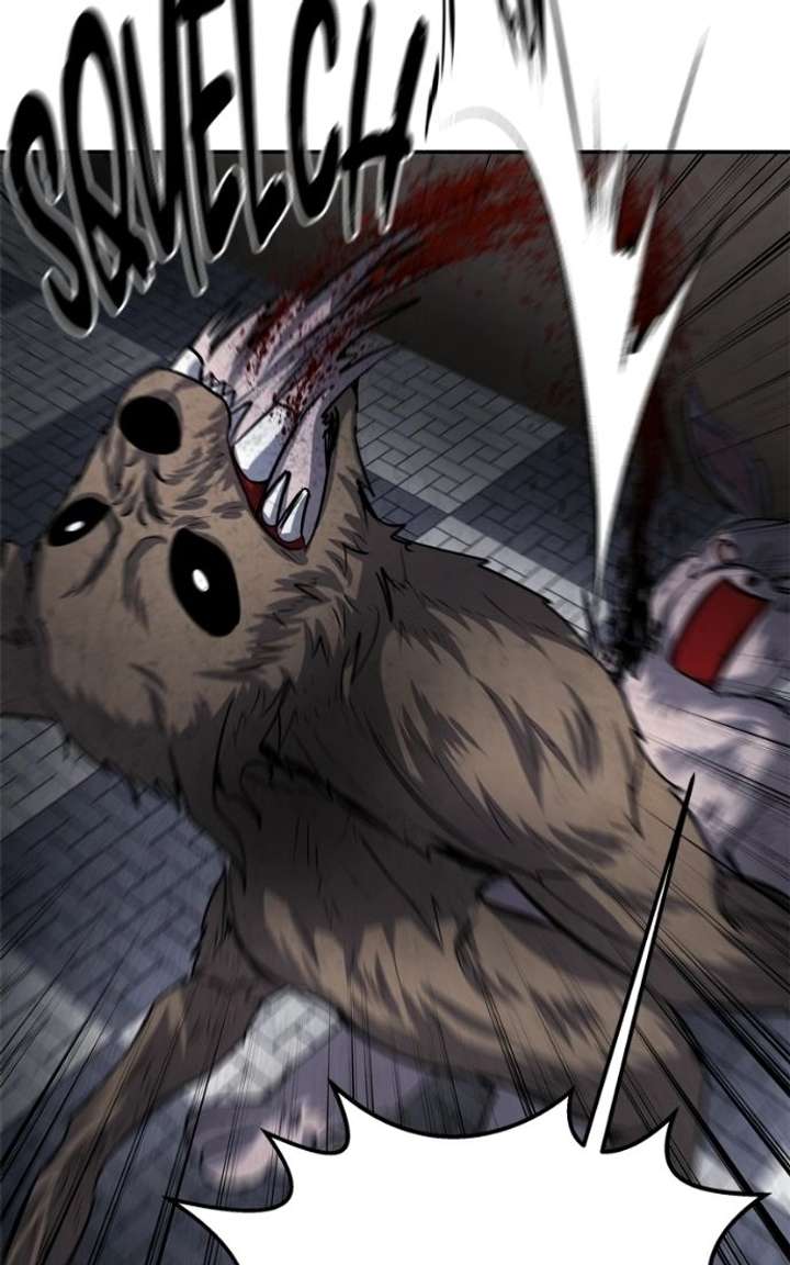 ch 52 45