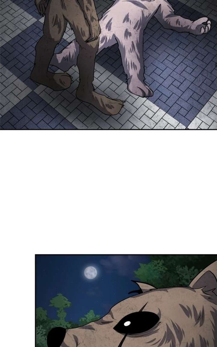 ch 52 51