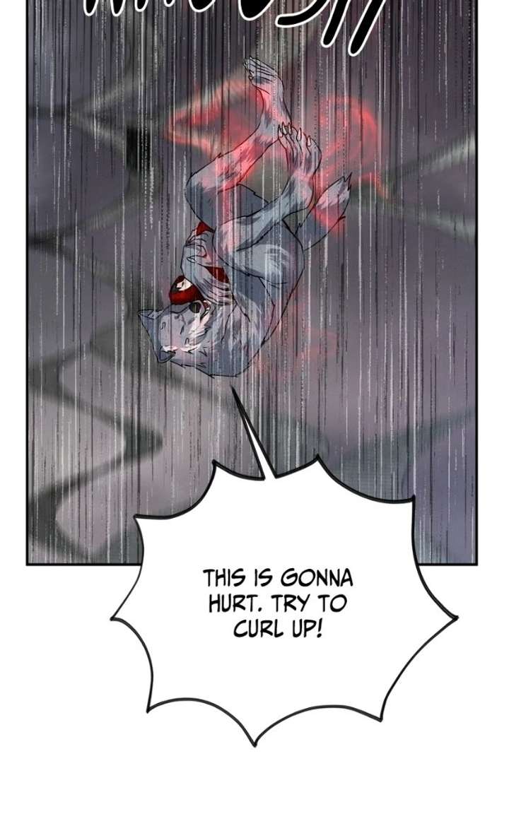 ch 56 89