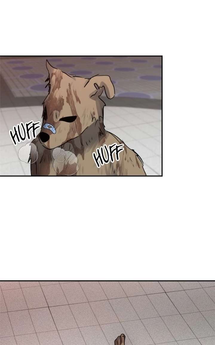 ch 60 96