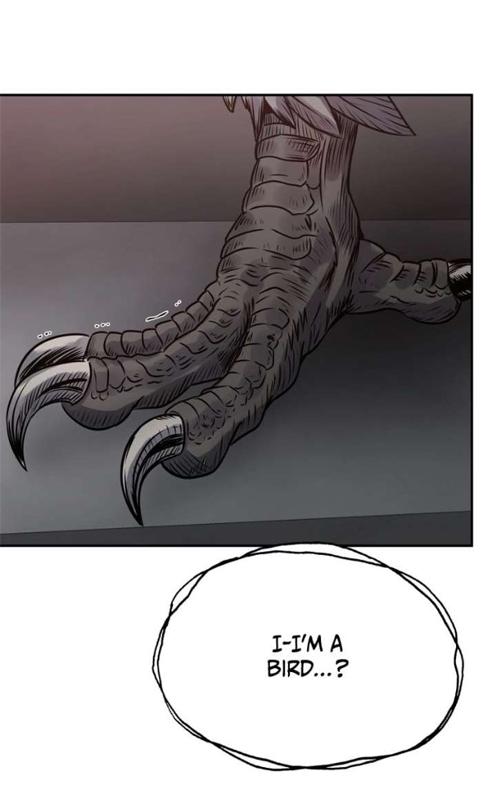 ch 61 13