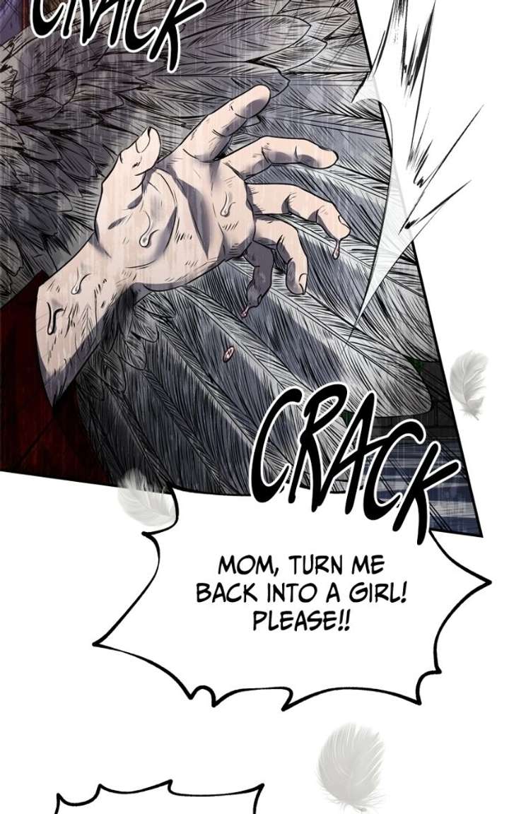 ch 61 23