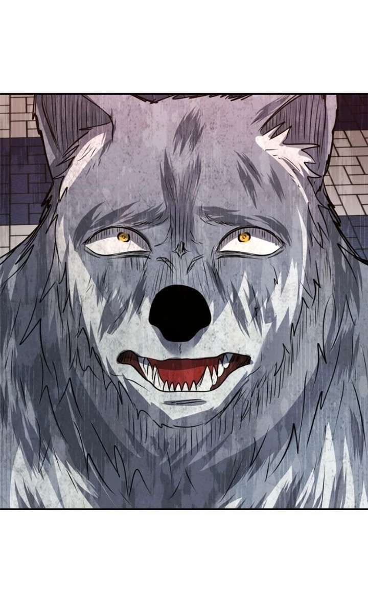 ch 61 5
