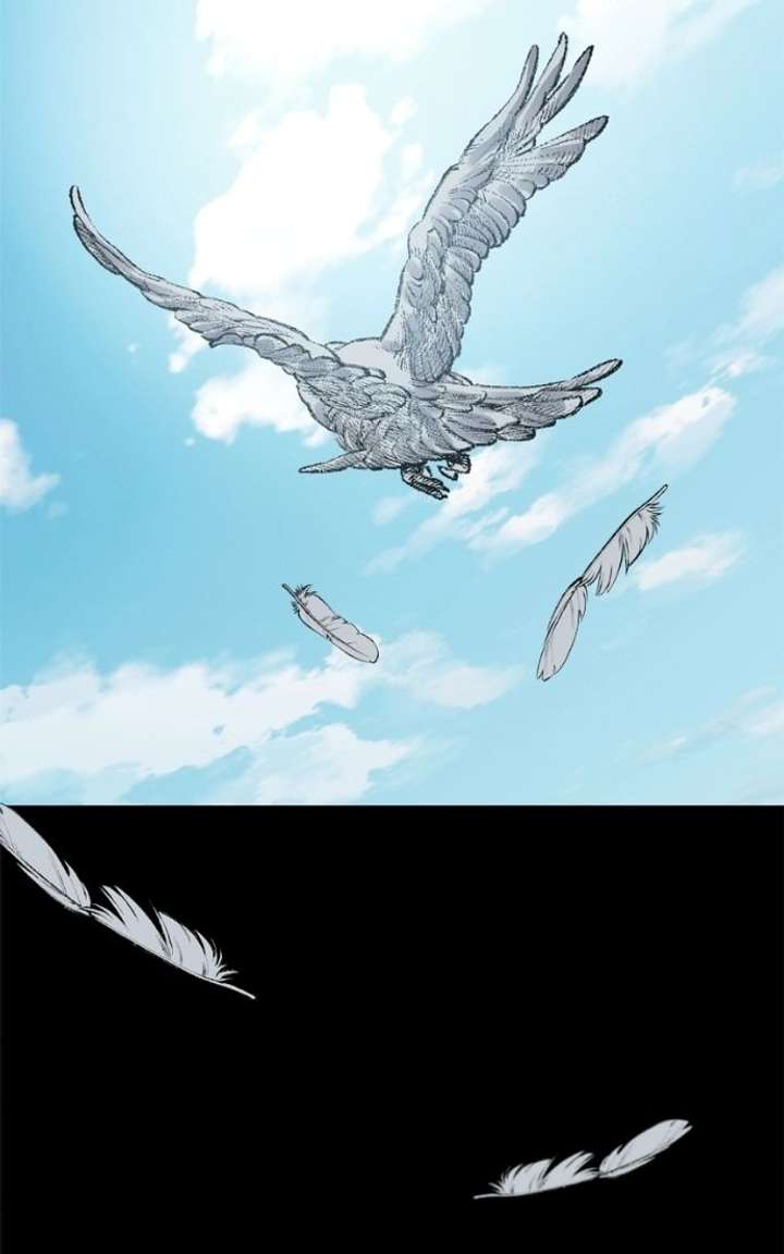 ch 61 83