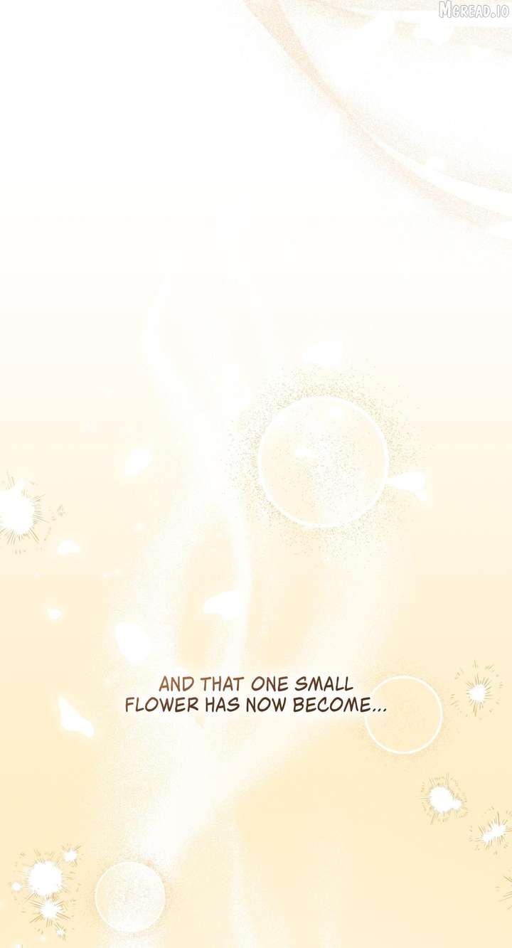 ch 75 51
