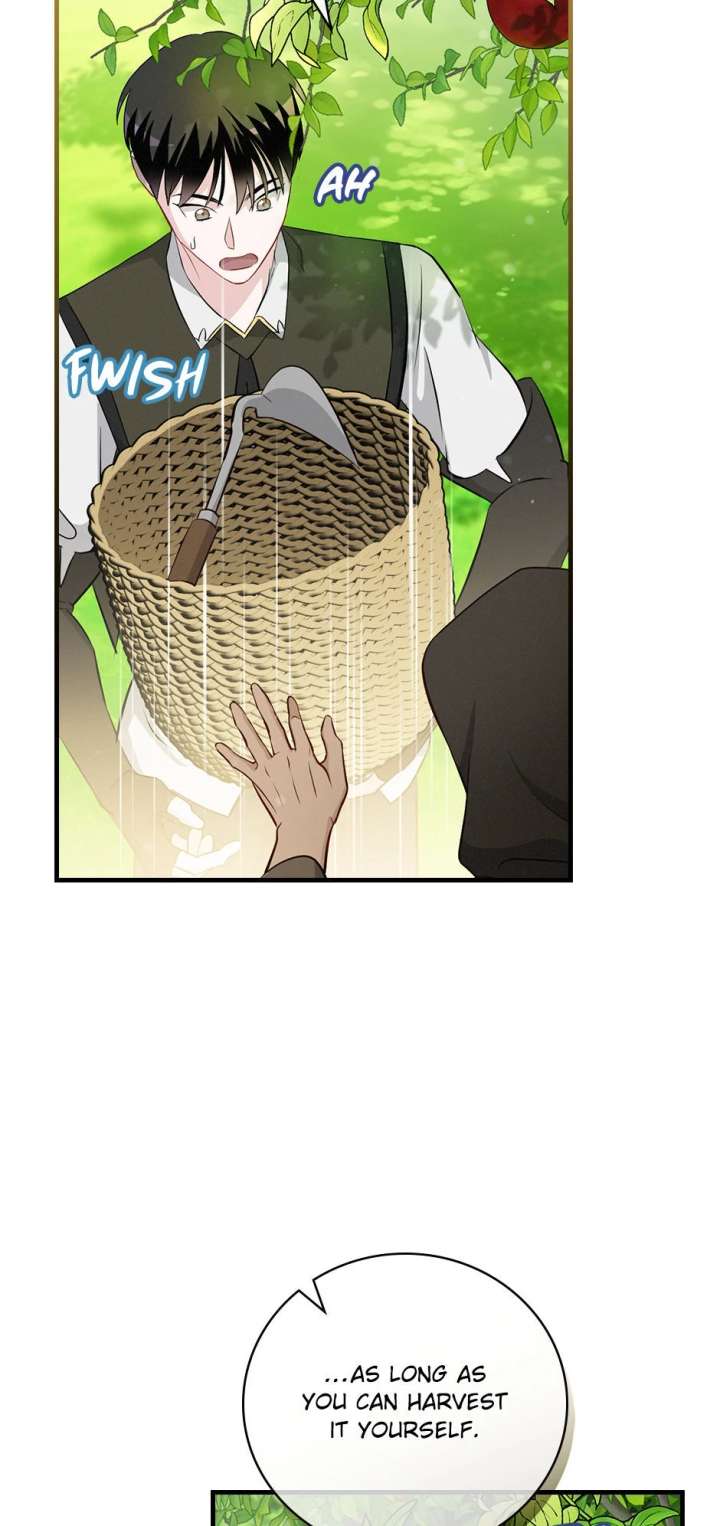 Leveling Up, By Only Eating! Chapter 207 270 44