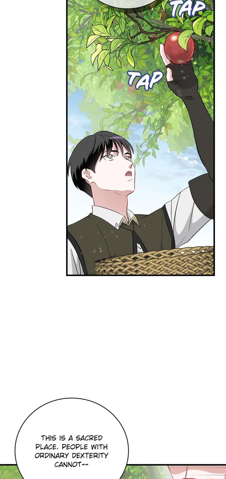 Leveling Up, By Only Eating! Chapter 207 271 45
