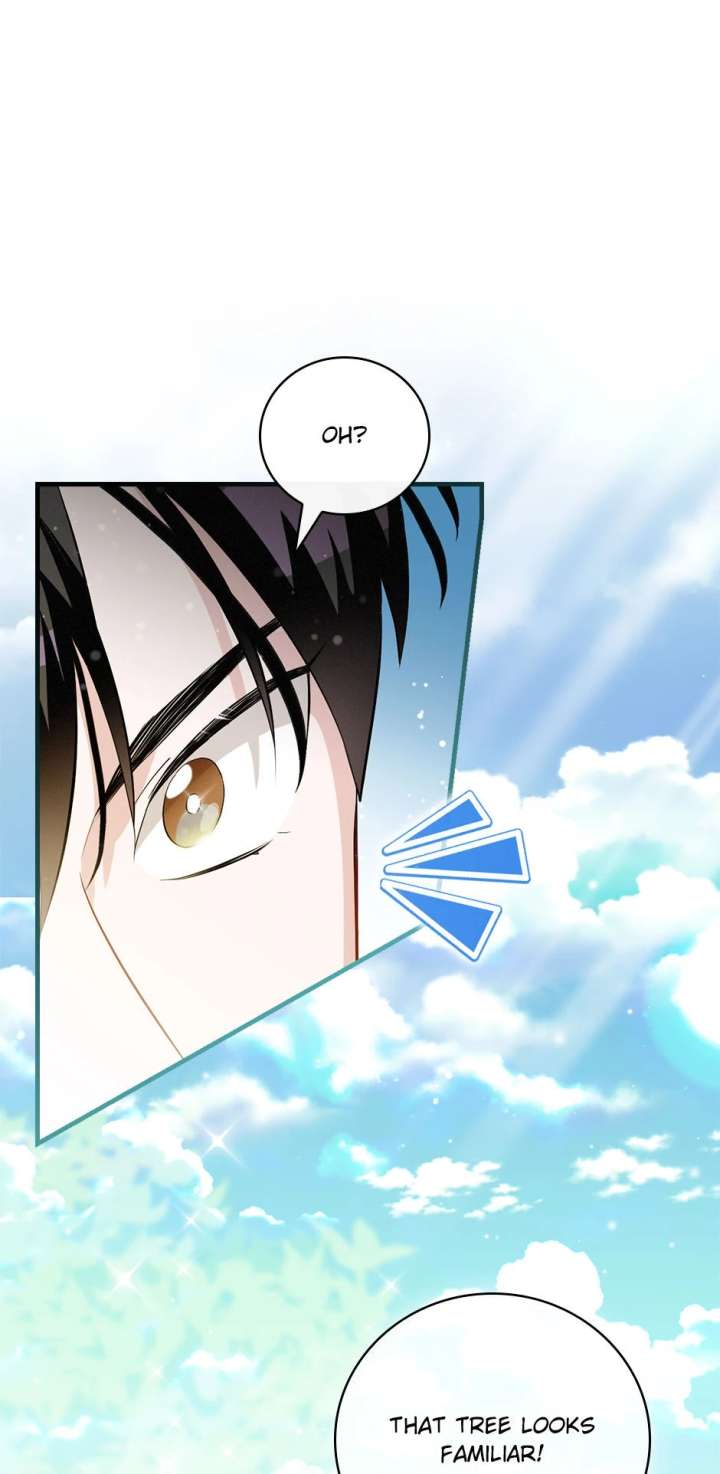 Leveling Up, By Only Eating! Chapter 207 283 57