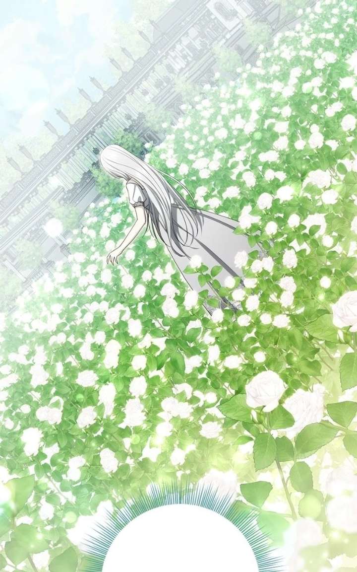 ch 52 74