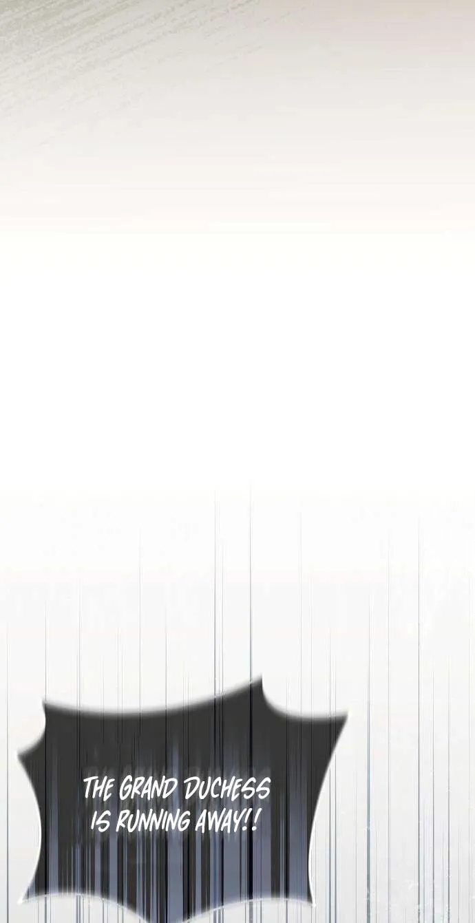 b14a084fa526