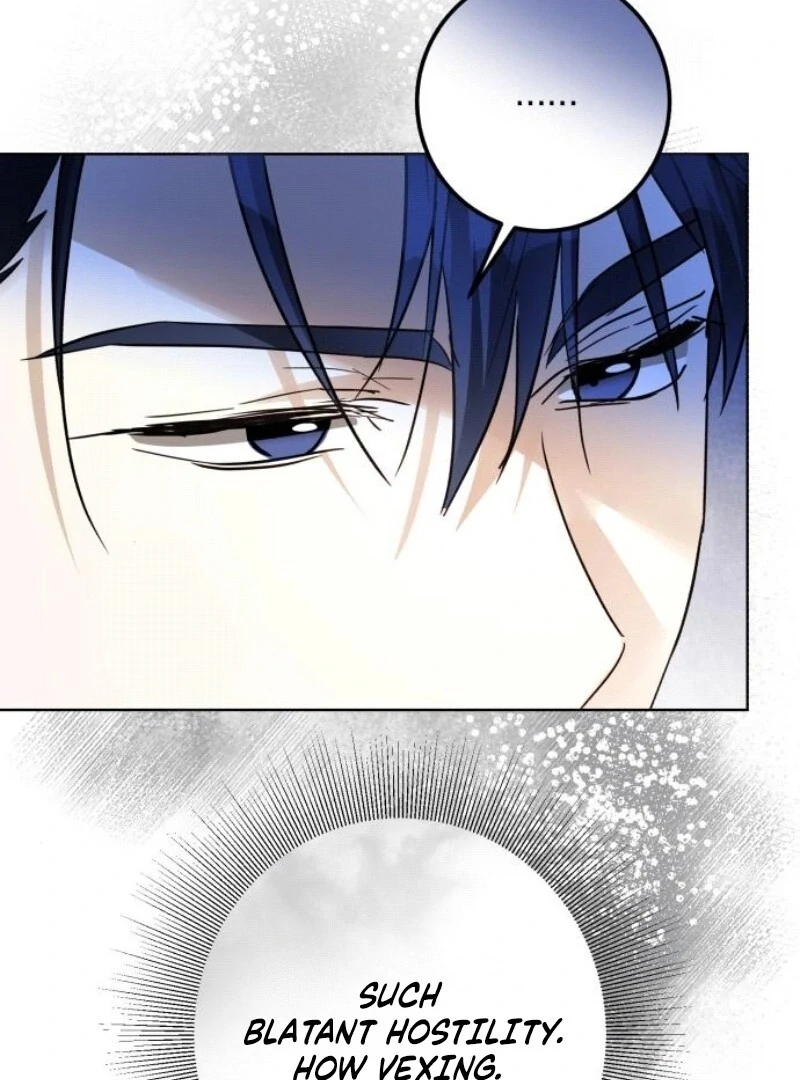 I Became The Duke’s Male Servant Chapter 35 481 114