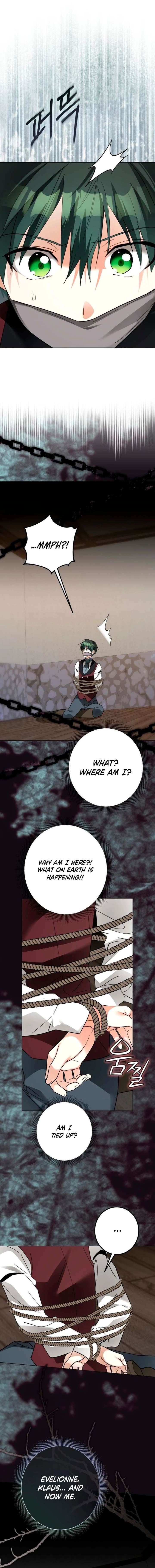 ch 61 11
