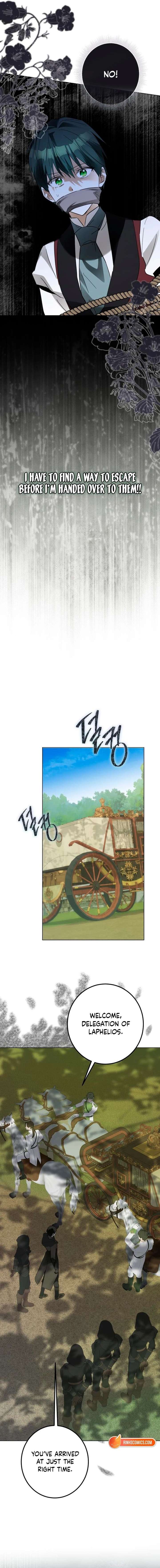 ch 61 15