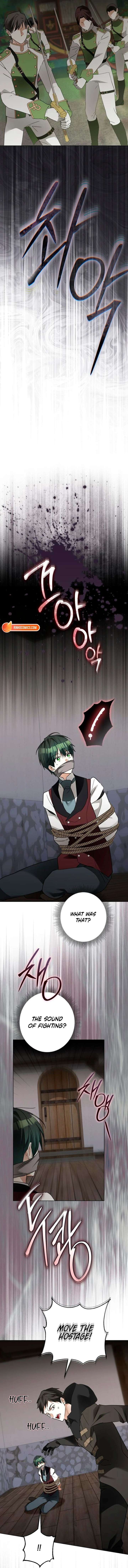 ch 61 17