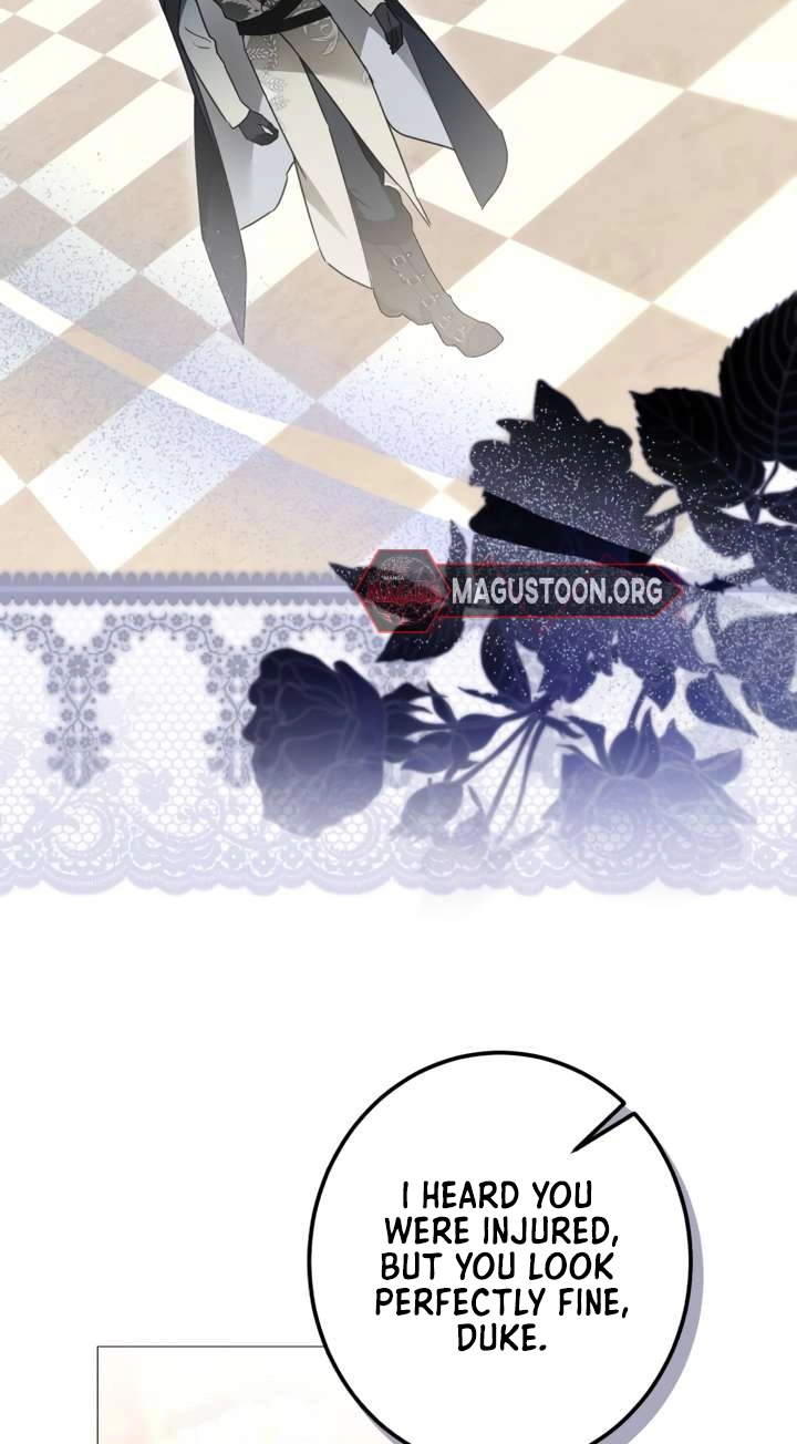 c146c33523c7