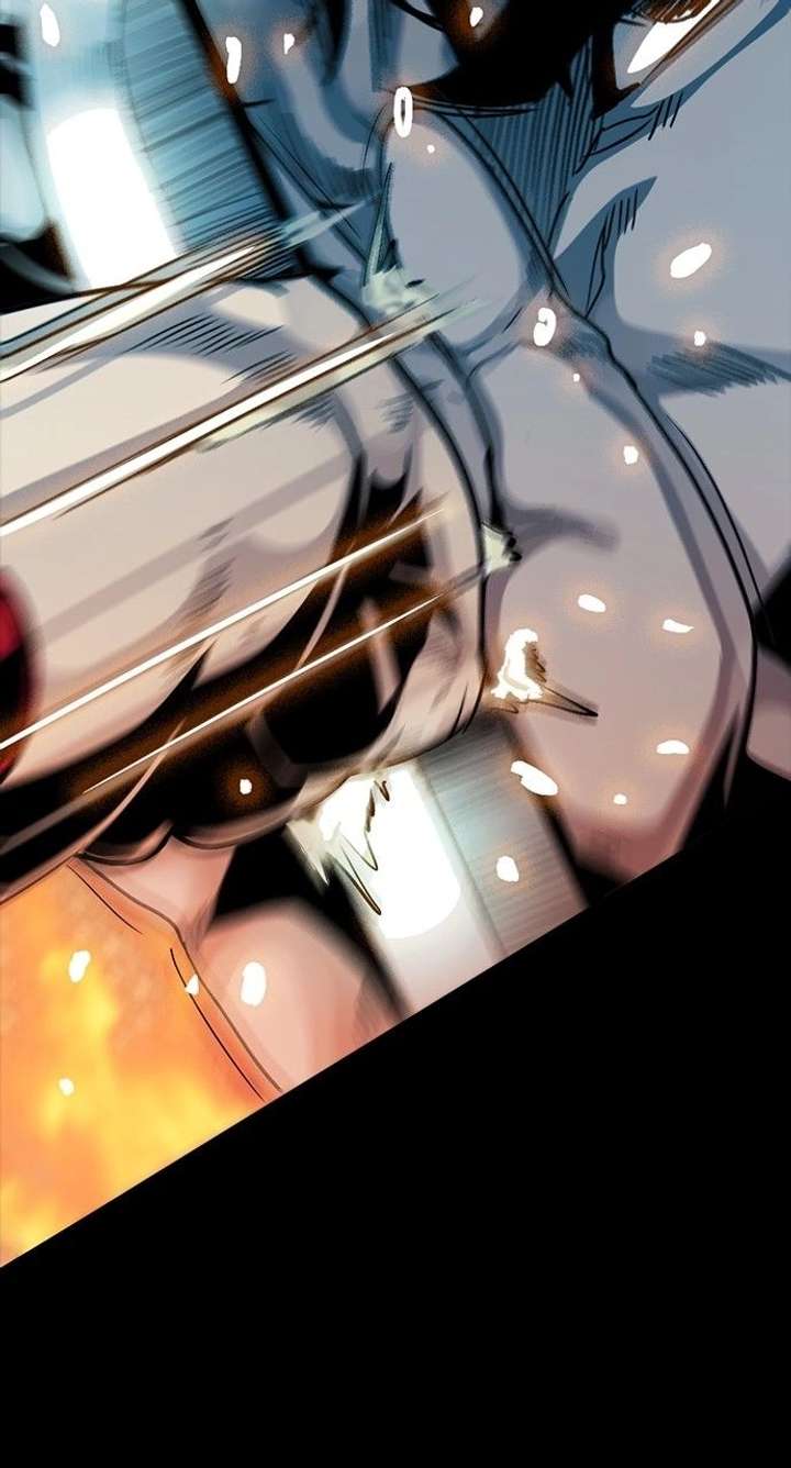 113