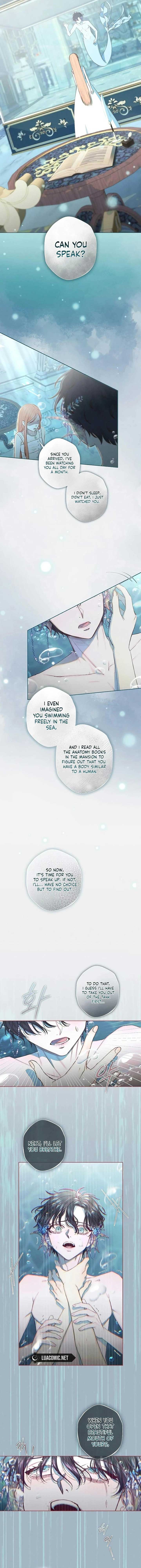 The Merman Trapped in My Lake Chapter 2 66 7