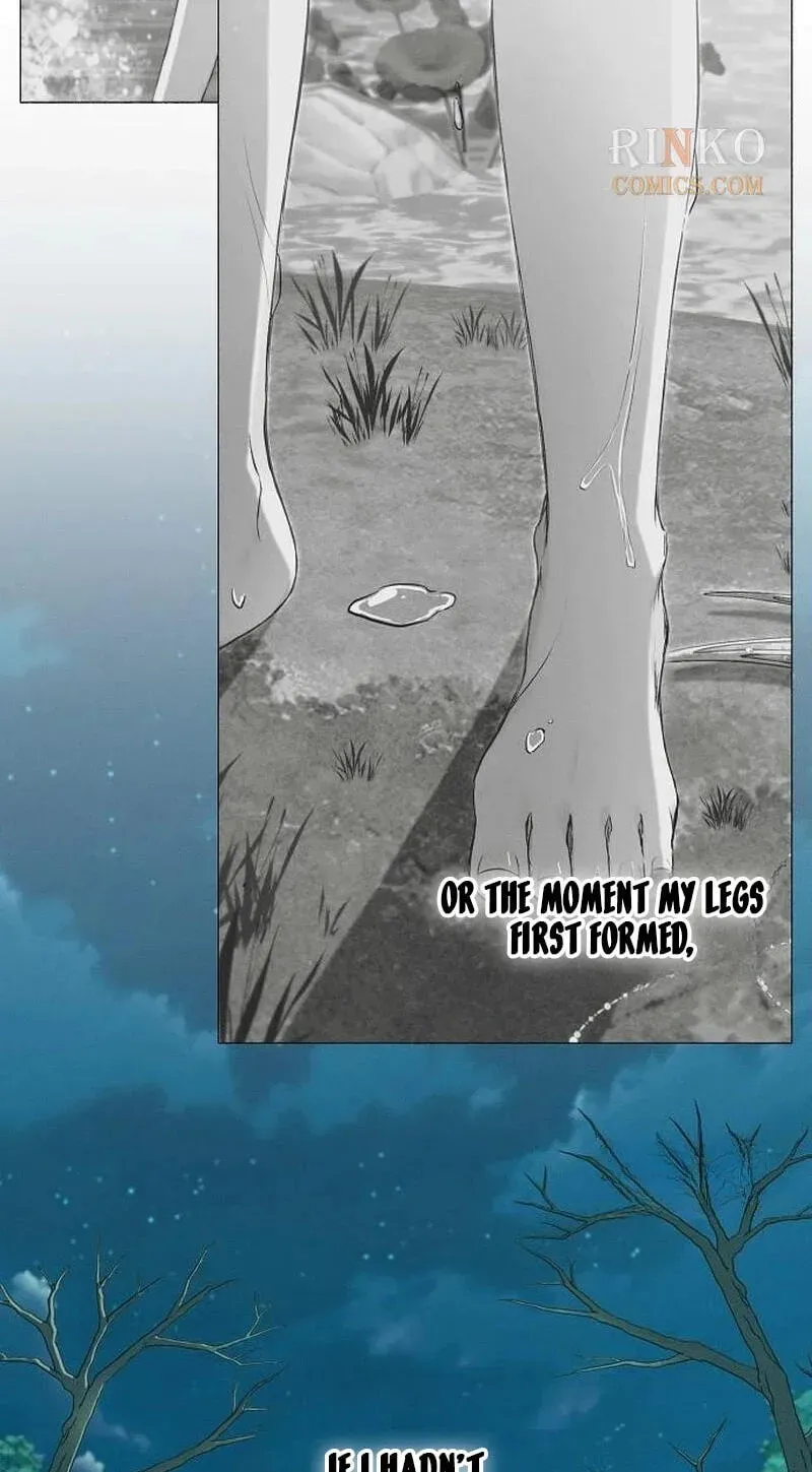 The Merman Trapped in My Lake Chapter 36 476 b606c4c91ad9
