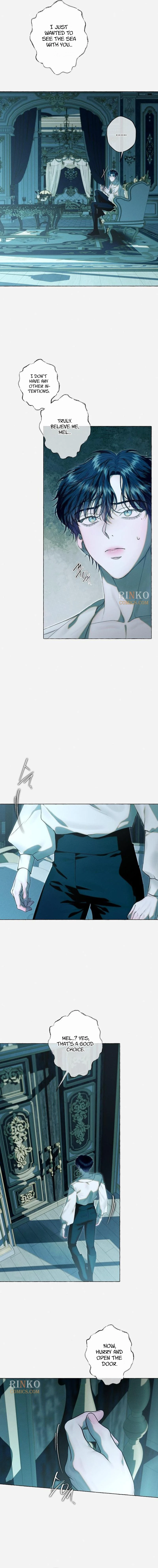 cc516ee887d8 6 webp