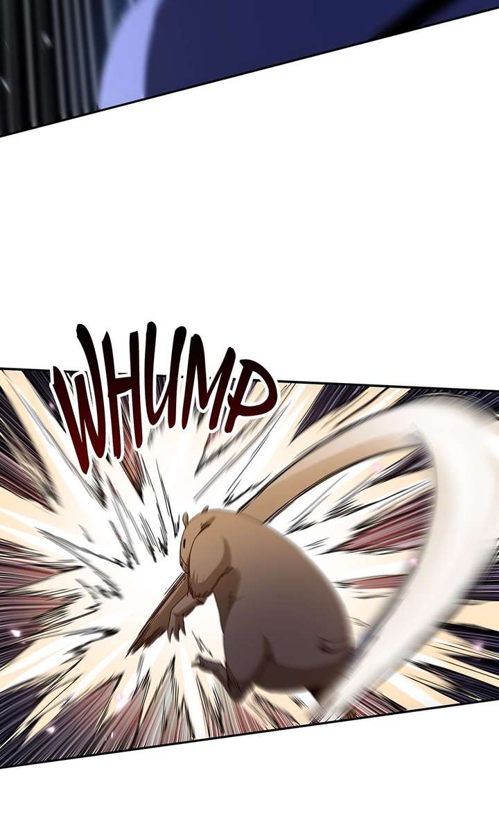 Aiming For Maximal Volume in the Apocalypse Chapter 51 211 013