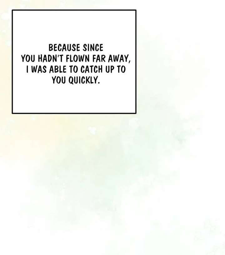 ch 72 29