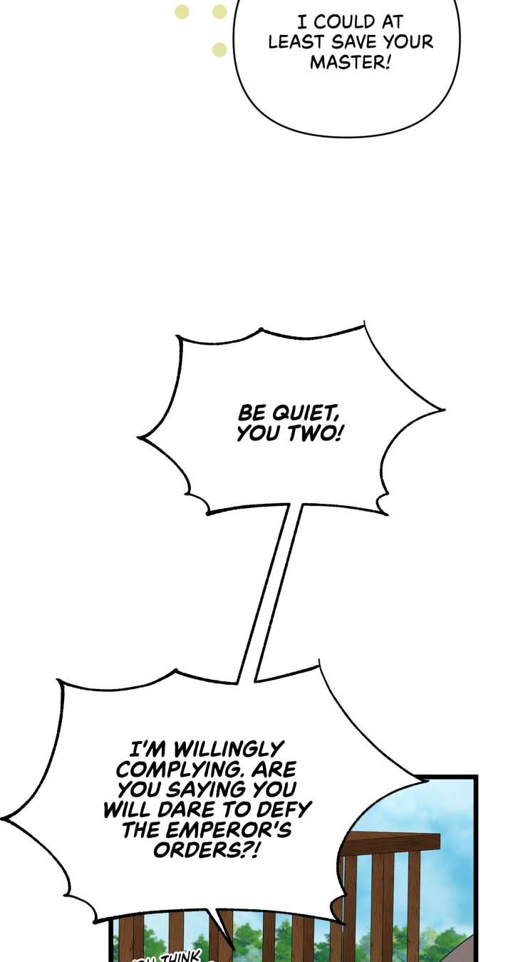 67