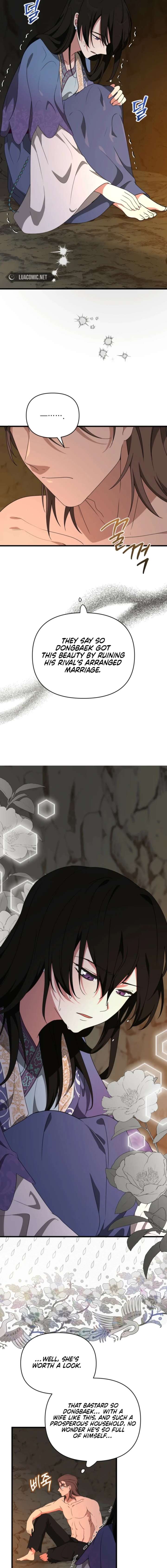 ch 56 2