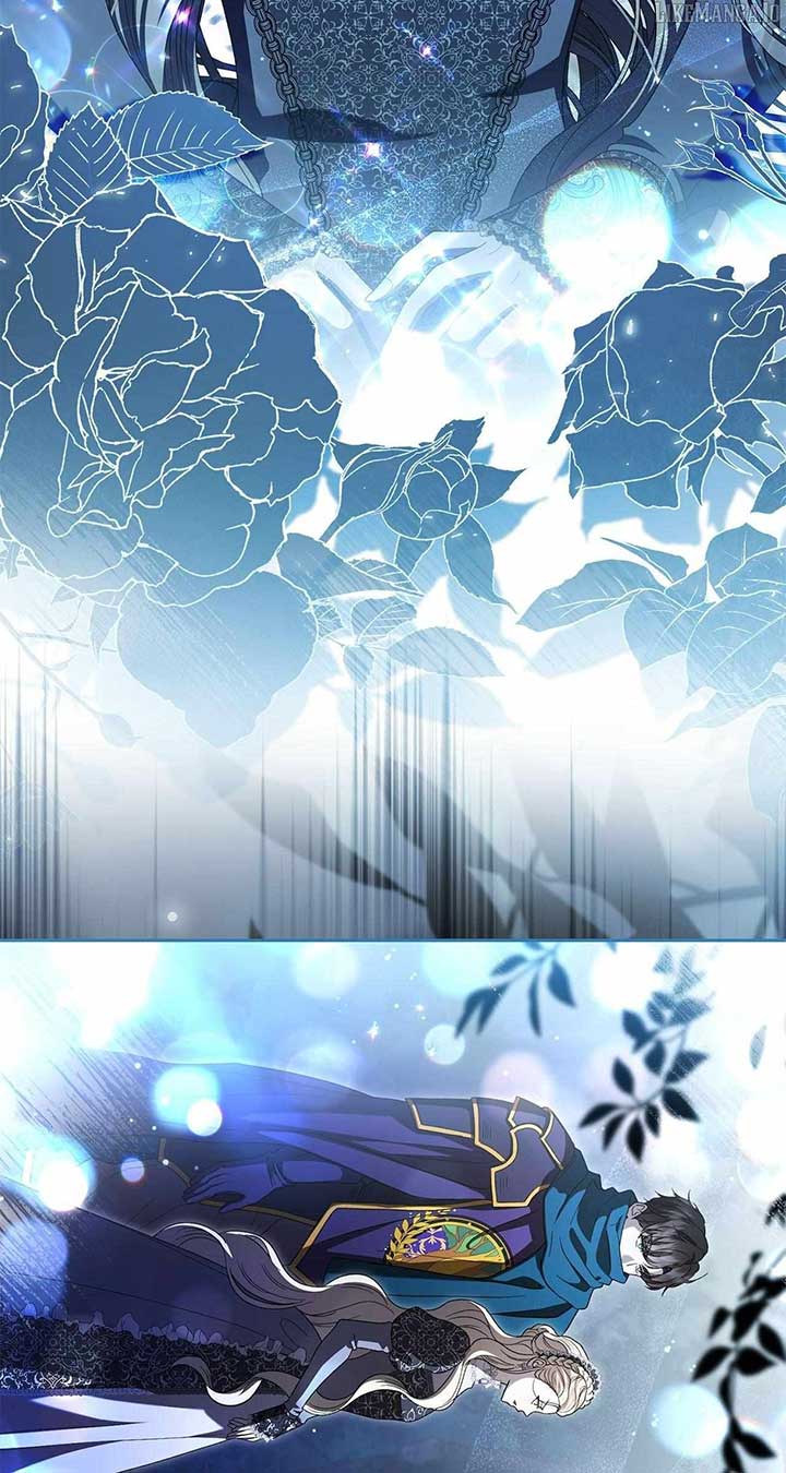 81