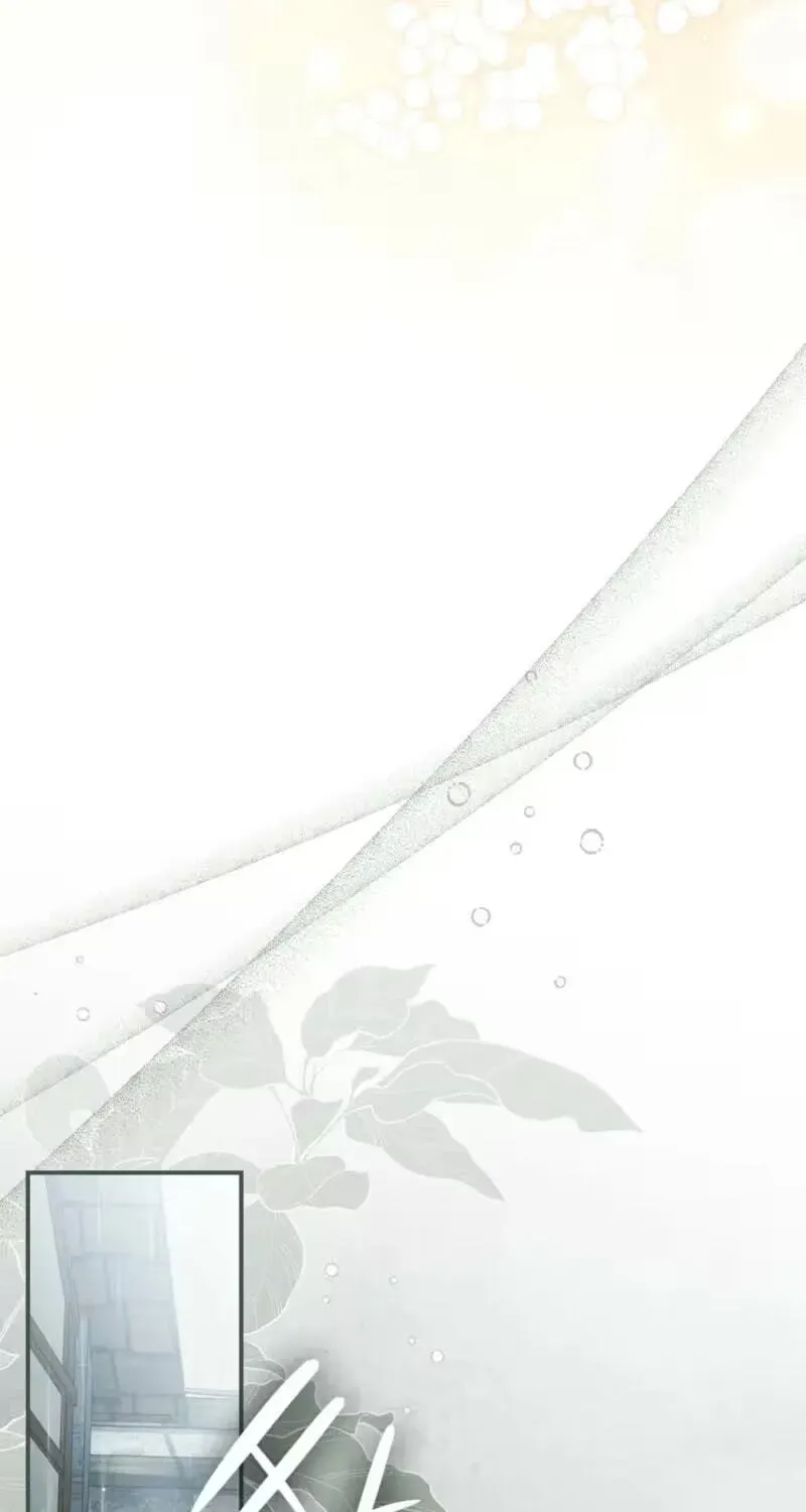 6224c61f1f84 71 webp