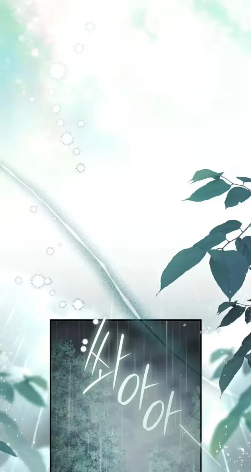 b23de6cc0291 54 webp