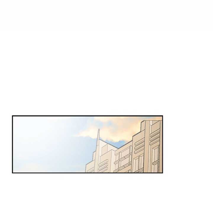 81