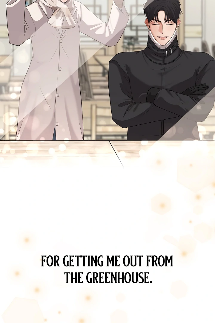 How to survive secretary Hong Chapter 33 518 115