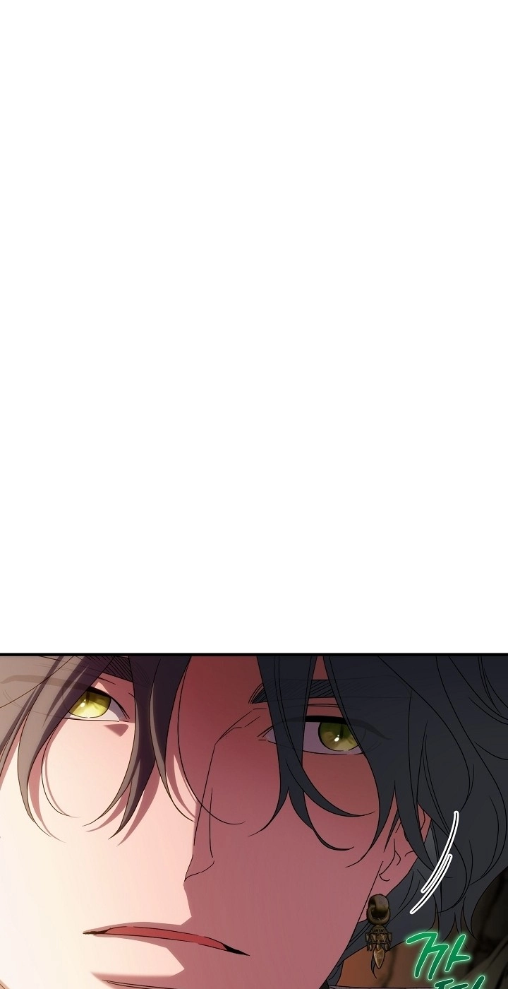 d31e74c65255