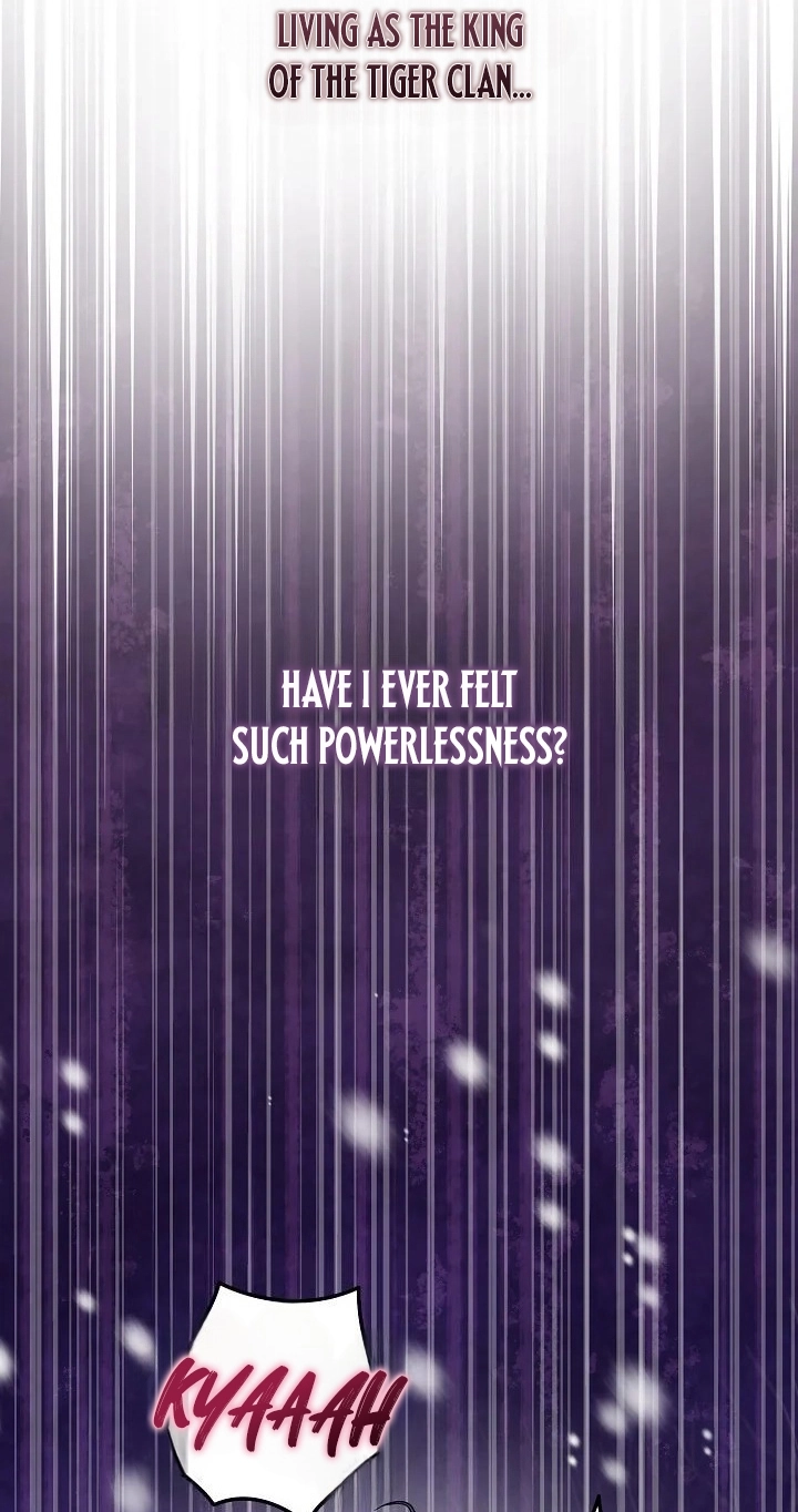 306248c87cff