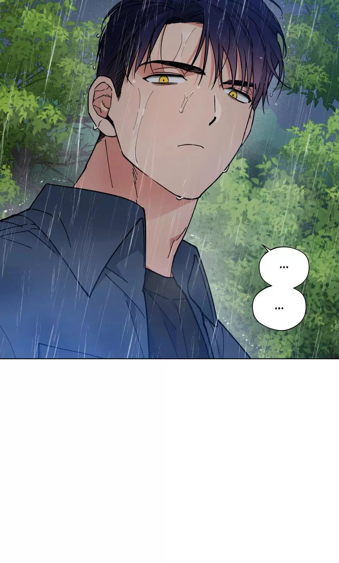 81