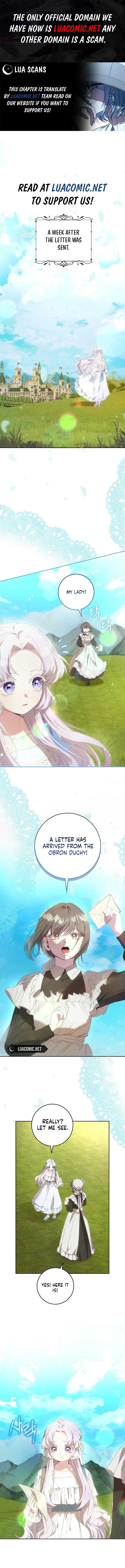 The Princess Reincarnation Chapter 12 41 0