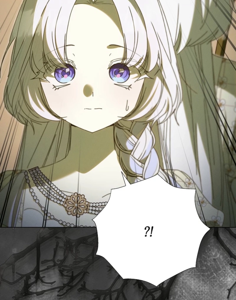 The Princess Reincarnation capítulo 65 página 10
