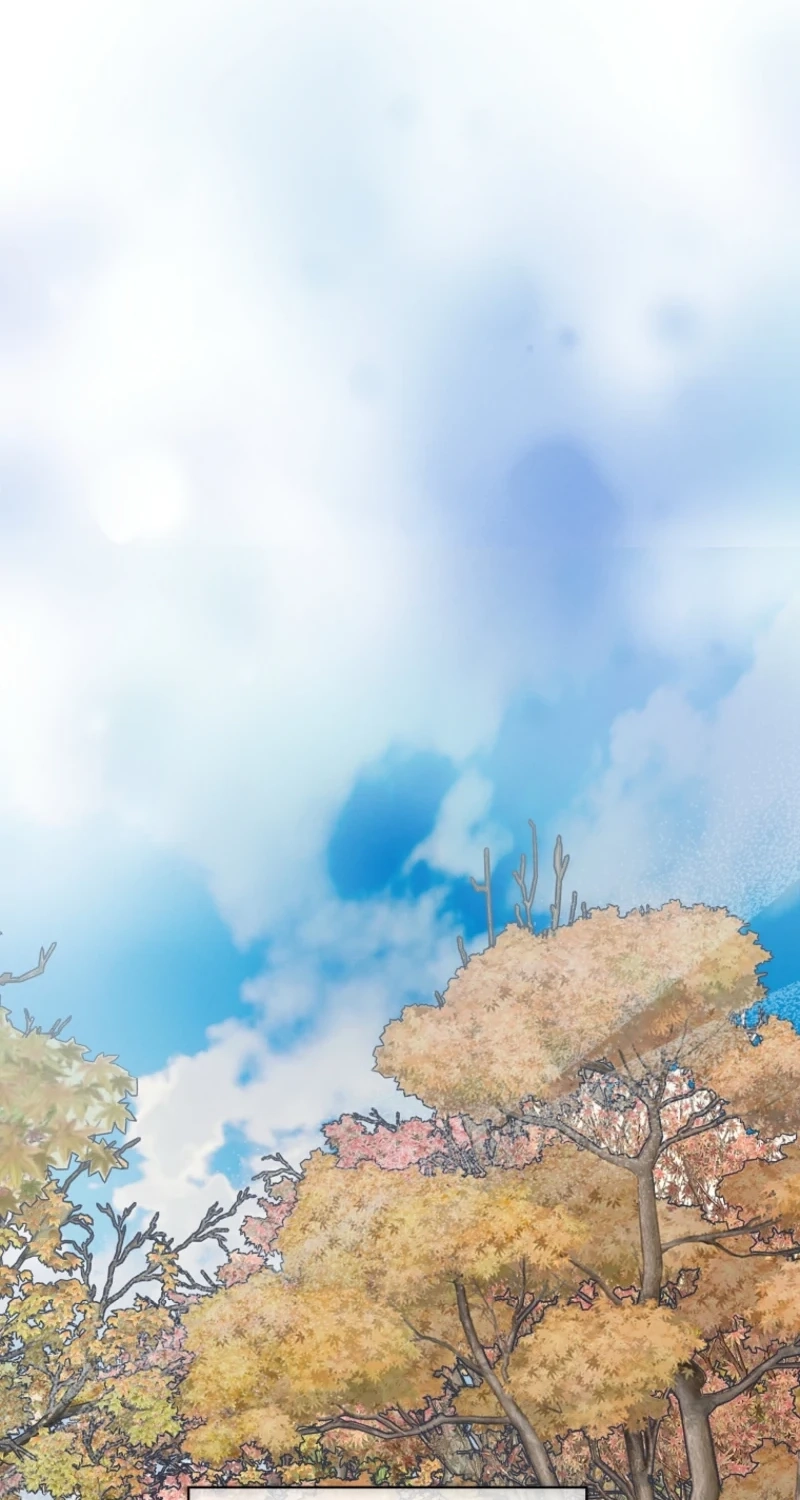fead0631d6a4