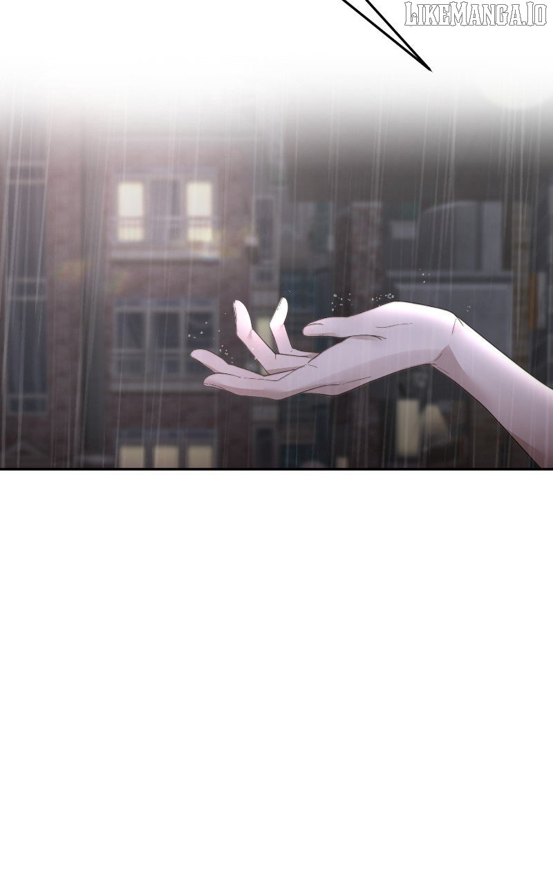 81